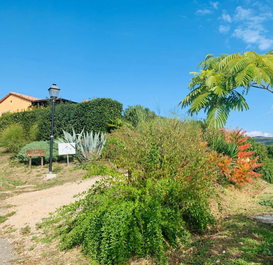Agriturismo Annibale Tuoro sul Trasimeno Exterior photo